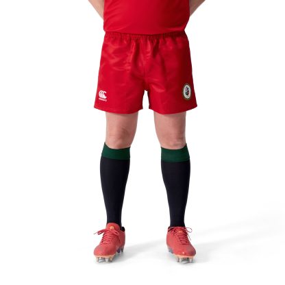 British & Irish Lions My Name'5 Doddie Foundation Shorts - Red