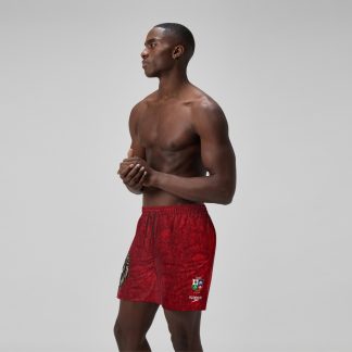 Mens British & Irish Lions 16" Watershorts Red
