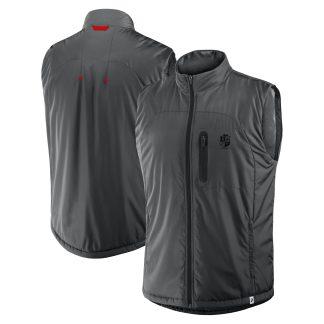 British & Irish Lions Tech Gilet - Grey