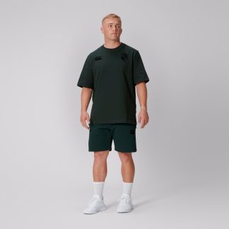 Adult Unisex British & Irish Lions Stealth Cotton Tee Green